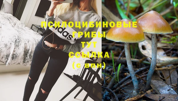 ГАЛЛЮЦИНОГЕННЫЕ ГРИБЫ Балабаново