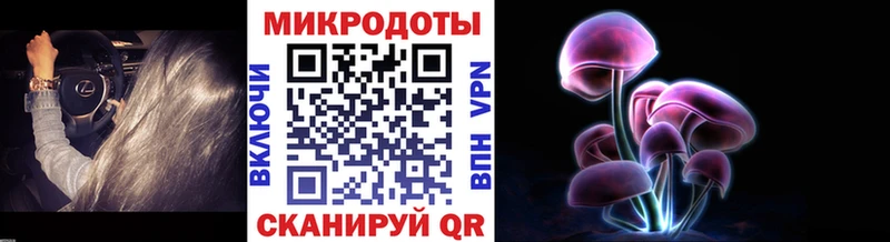 сколько стоит  Саратов  Галлюциногенные грибы Psilocybine cubensis 